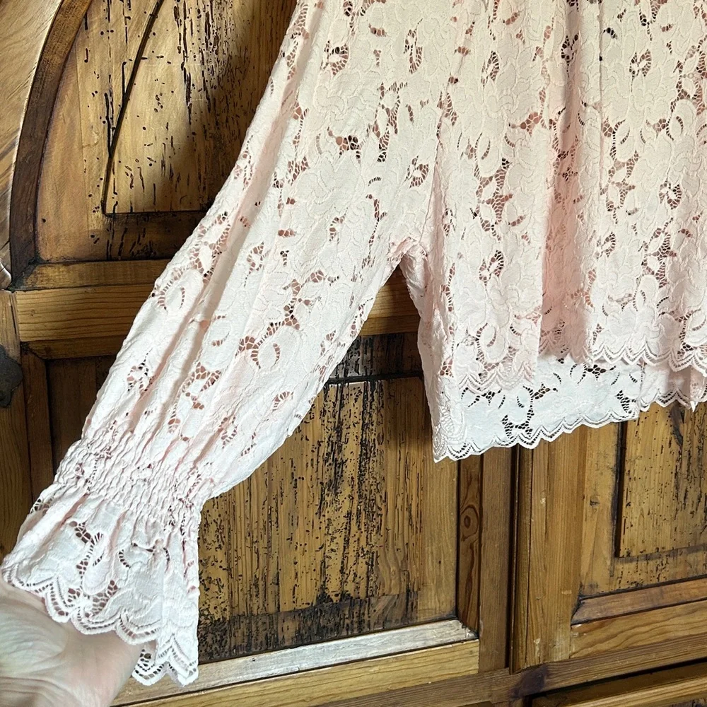 Free People Ballet Pink Olivia Lace Top Blouse